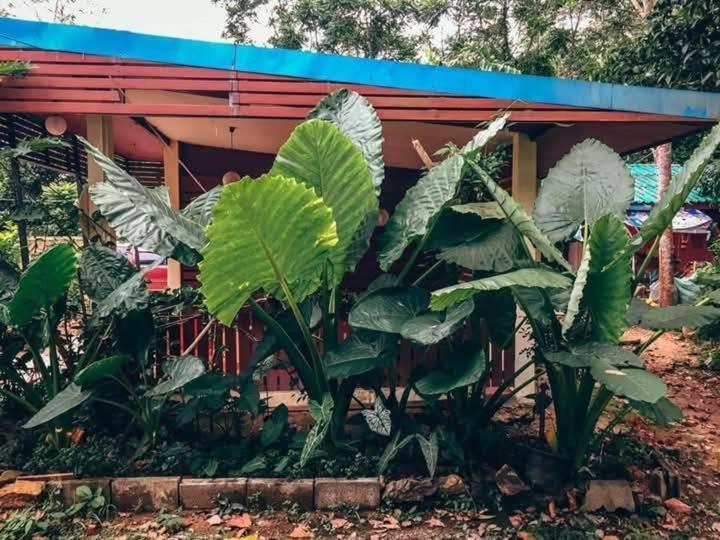 Song Pee Nong Resort Phattalung Phatthalung Exteriör bild